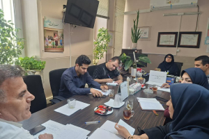 طرح شهید سلامی