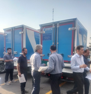 بازدید از خودروها
