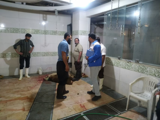 نظارت بر کشتار دام در عید قربان