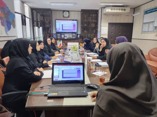 کمیته مرگ و میر کودکان و نوزادان