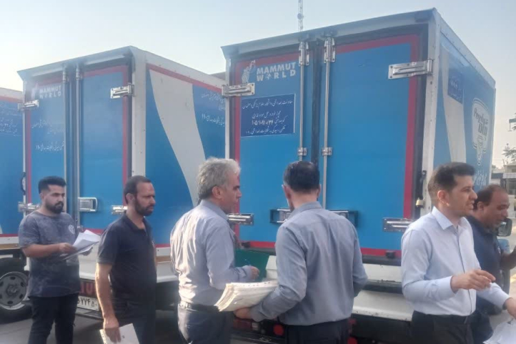 بازدید از خودروها