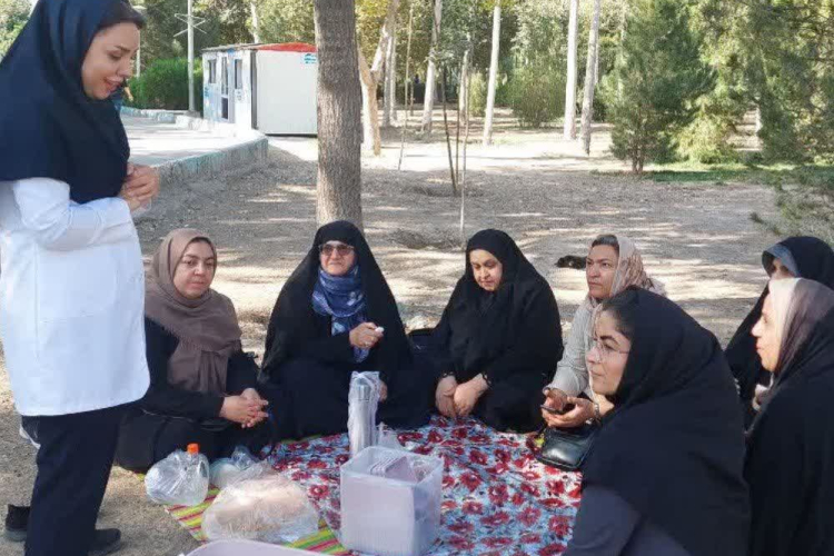 همایش پیاده‌روی