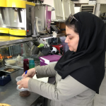 نمونه‌برداری