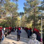 روز جهانی قلب