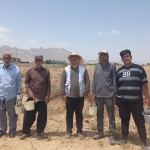 طرح لانه‌کوبی و جونده‌کشی در فیلد منطقه زیار