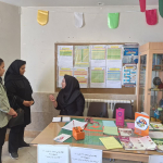 مداخلات اجتماع محور (SDH)